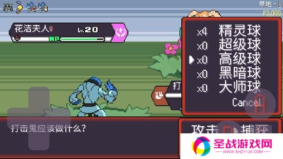 宝可梦肉鸽