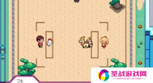 宝可梦迷之规则汉化版